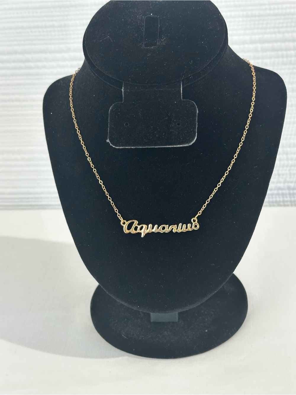 Aquarius Zodiac Script Nameplate Necklace Gold Tone Minimalist Astrology Jewelry
